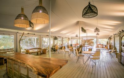 Discover Our Explorer Mess Tents – The Desert Fox Range