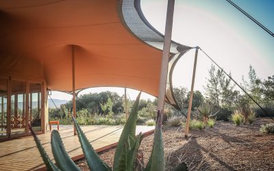 Create A Bespoke Eco-Conscious Restaurant For A Unique Fine Dining Experience!