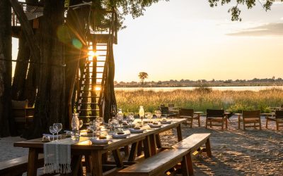 How Culinary Experience Separates The Best Safari Lodges
