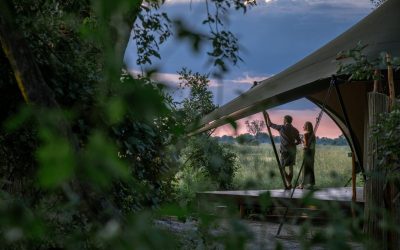 Immersive Nature Stays Are The Future Of Hospitality. Tentickle Makes It Possible