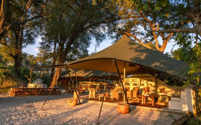 Custom Camps Designed To Exist In Harmony With Nature