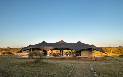 Remarkable Installations In The Wild: Tentickle’s Signature At Serengeti